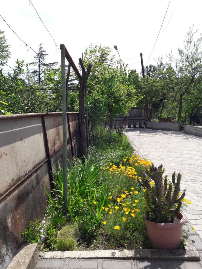 Sataplia District Hotell Kutaisi Eksteriør bilde